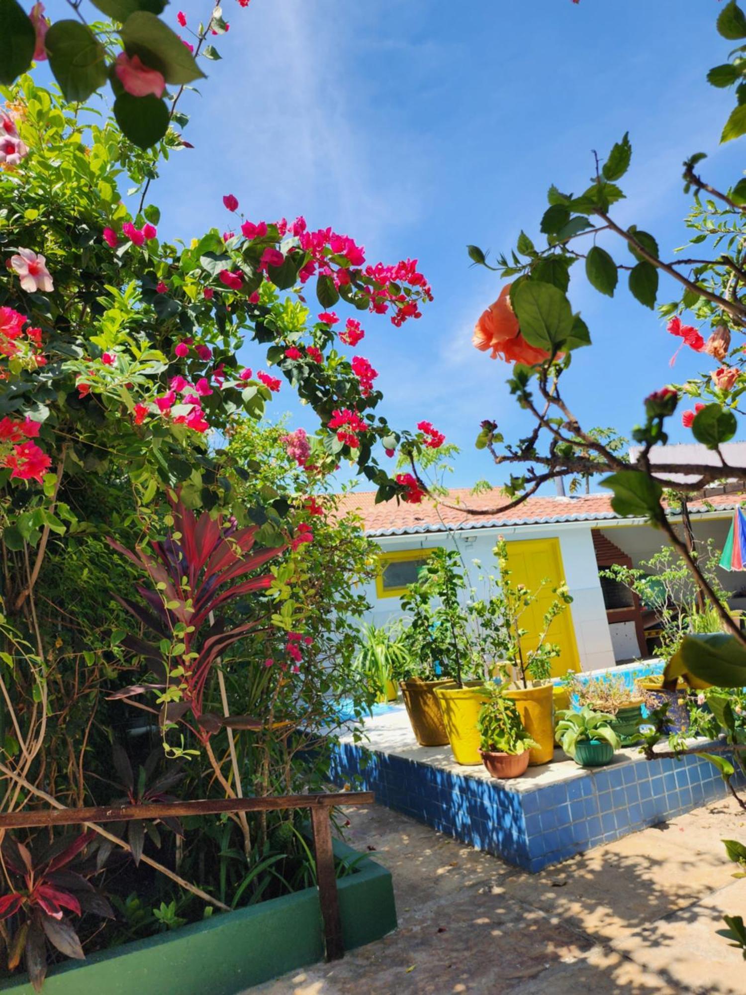 Mandala Dreams Pousada E Portal Holistico Maceió Kültér fotó