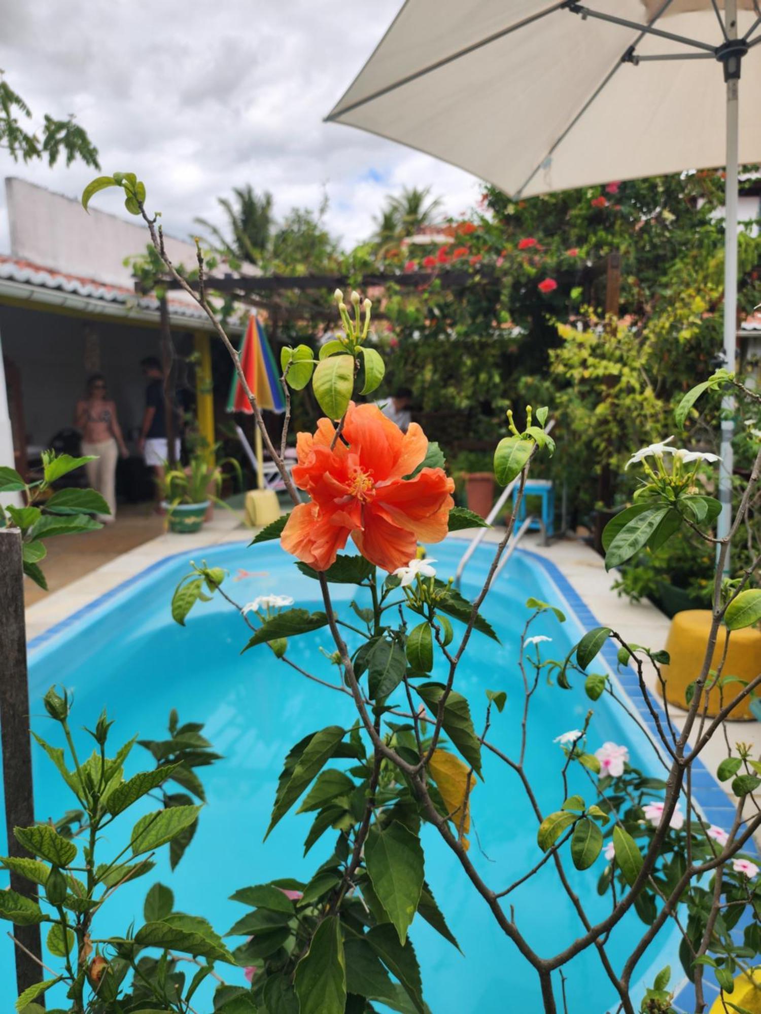 Mandala Dreams Pousada E Portal Holistico Maceió Kültér fotó